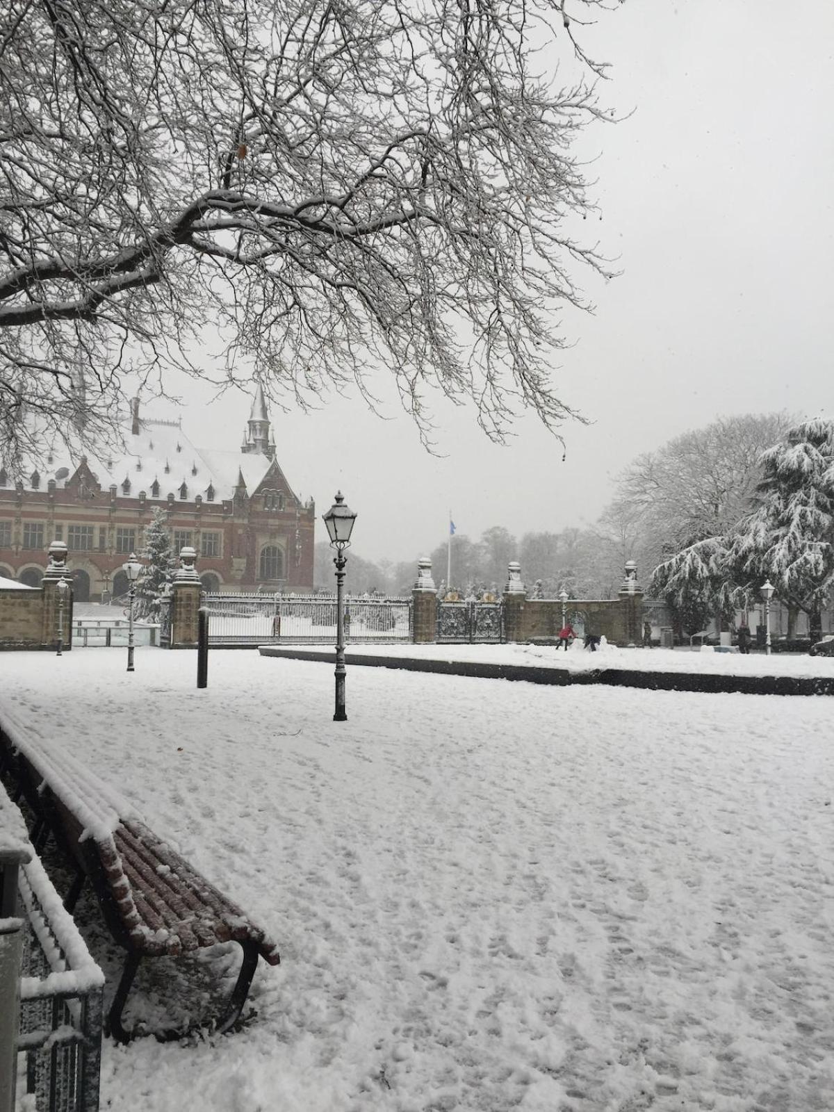 Charming Tiny House Apartment Den Haag